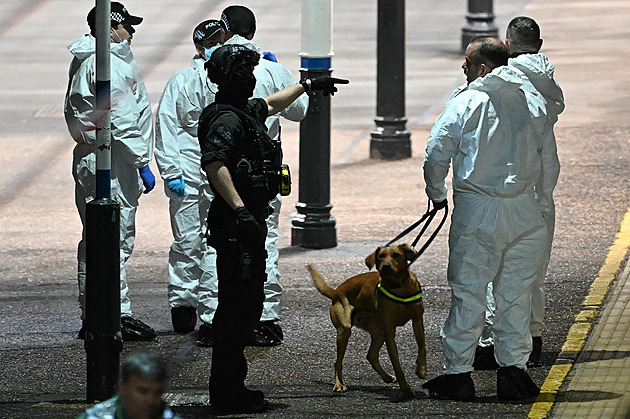 Útok ve vlaku měli za halloweenský žert, starší muž před nožem zachránil dívku