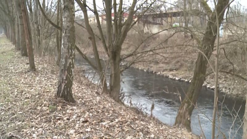 Vražda Ukrajinky v Jaroměři: Podezřelý se přiznal. Ženu měl znásilnit, zabít a hodit do řeky