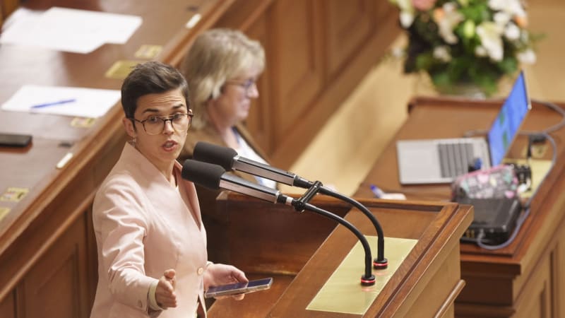 Piráti bez výborů? Trest za klepání Babiše přes prsty, řekla Richterová