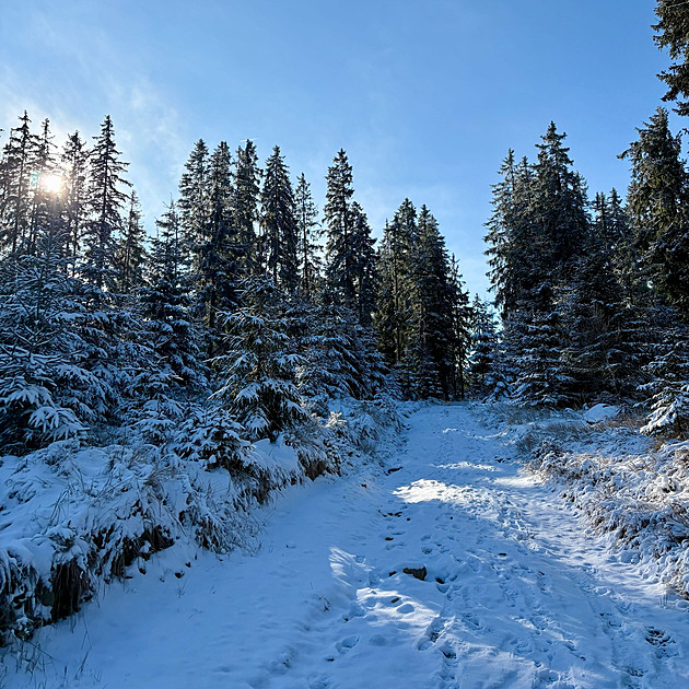 Severovýchod Česka přikryje nový sníh. Napadnout může až 25 centimetrů