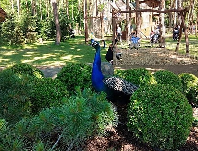 Pražský Krtkův svět zavřela inspekce. I kvůli vypouštění splašků do okolního lesa