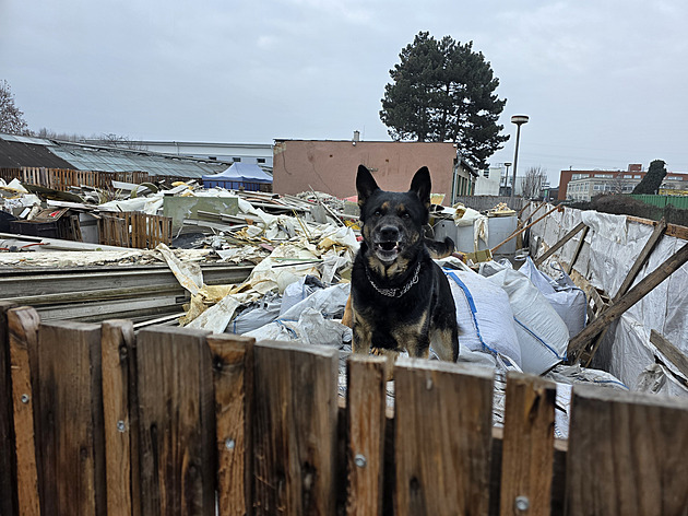 Prvních 35 tun nelegálního odpadu odvezou Němci z Brna za týden, většina zůstává
