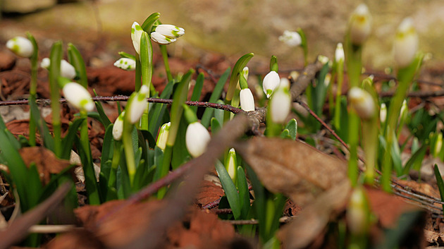 V Česku padaly teplotní rekordy, na jihu Moravy bylo skoro 25 stupňů