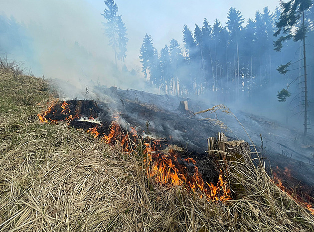 Ve Valtířově na Ústecku hoří v obtížném terénu les. Platí druhý stupeň poplachu