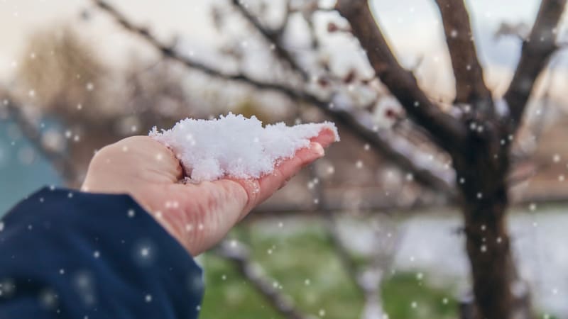 Sněží! Bílá nadílka a kroupy udeřily i mimo hory. MAPA ukazuje průlet extrémního počasí Českem